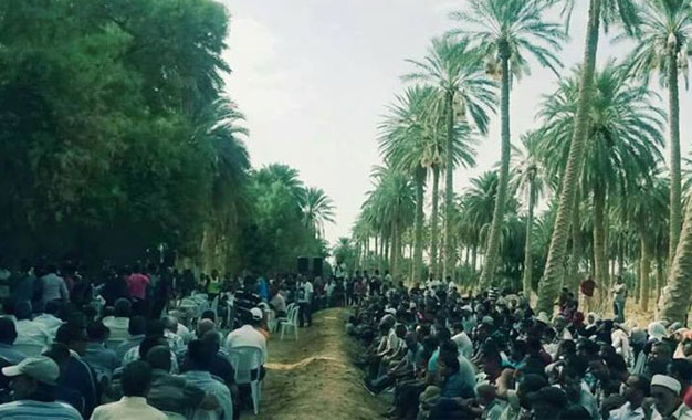 L’Association de protection des oasis de Jemna : Nous attendons des propositions réalisables