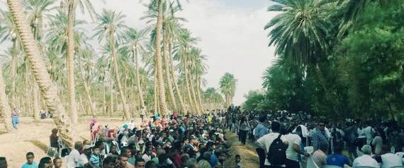 Oasis Jemna : La justice donne raison à l’Etat