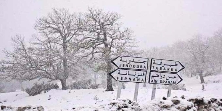 Les chutes de neige atteignent 7 cm au gouvernorat de Jendouba
