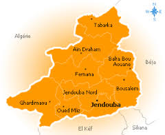 Deux terroristes abattus à Oued Méliz (Jendouba)