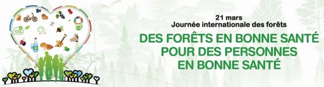 Journée internationale des forêts : Appel de la Banque mondiale