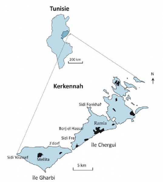 Une partie des Iles Kerkennah privée d’eau