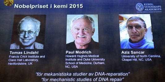 Le Nobel de Chimie 2015 attribué à trois chercheurs