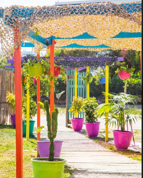PURA VIDA, le beach le plus coloré de Hammamet rouvre ses portes