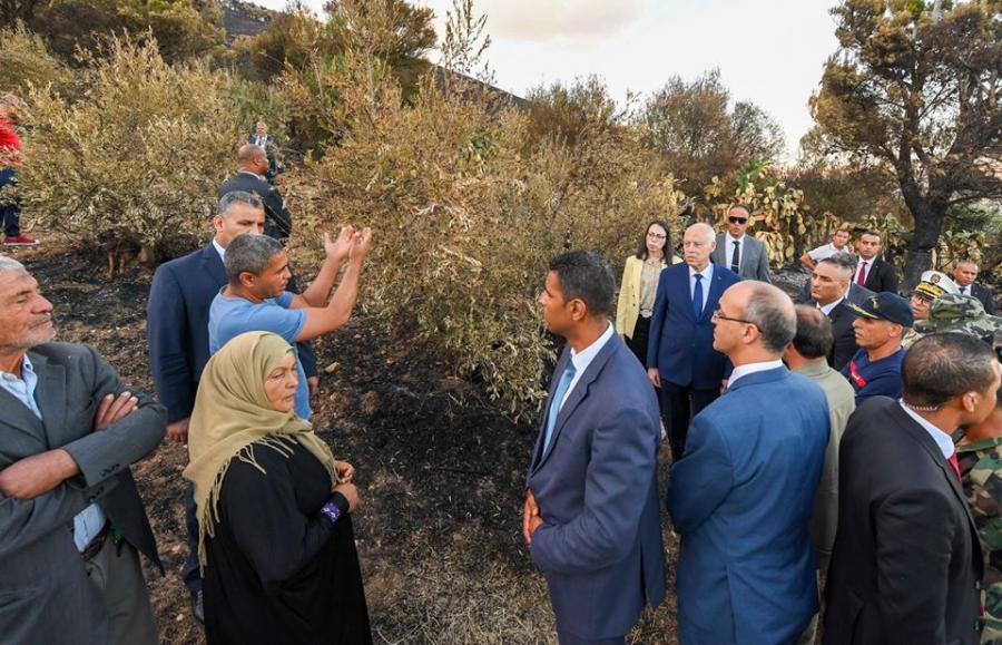 Feu de forêt : Visite inopinée de Kaïs Saïed à Amdoun