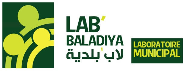 Cinquième atelier du dispositif Lab’Baladiya (laboratoire municipal).