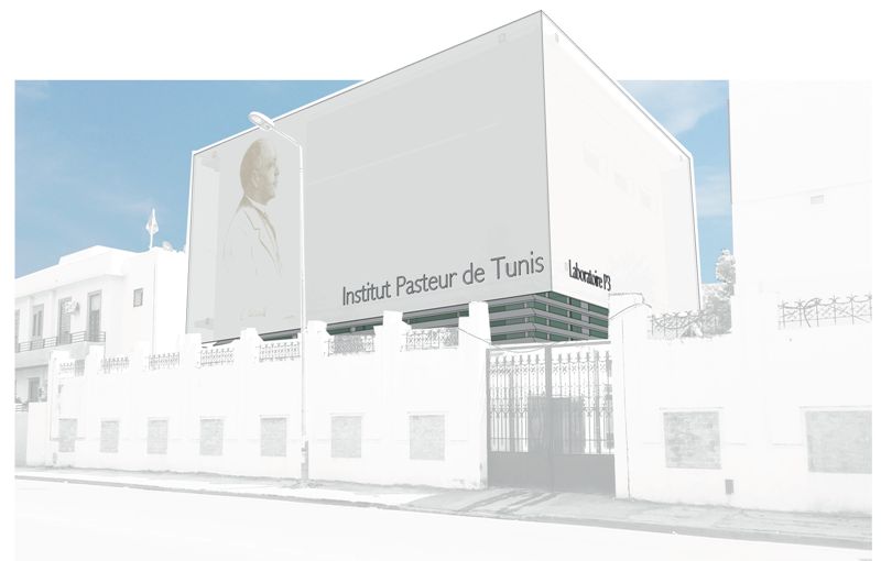 Vers le lancement d’un laboratoire de haute sécurité biologique P3 à l'Institut Pasteur de Tunis
