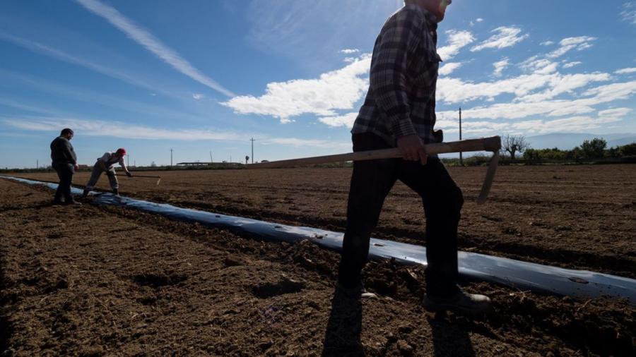 Coronavirus: Manquant de bras, l'Italie va régulariser 200 mille sans-papiers