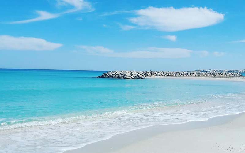 Douceur exceptionnelle : Des records ont été battus ce 1er janvier