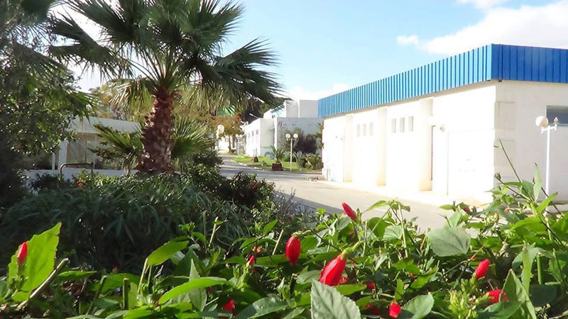 Tunisie: Les maisons de jeunes et de culture mises à la diposition des étudiants