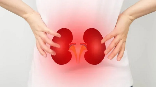 Tunisie: Les maladies rénales touchent 9 % de la population