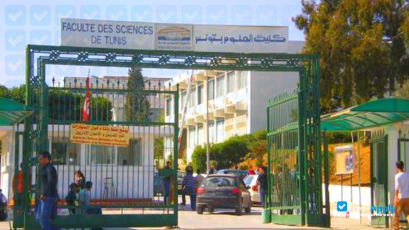 Quel déclin: Aucune université tunisienne parmi les 1000 meilleures au monde