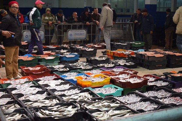  Marché de gros de Bir El Kassaa : Les fruits et poissons tirent les prix à la hausse 