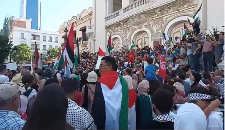 Le Front de salut national organise une marche de solidarité avec le peuple p_alestinien