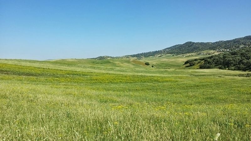 L’Etat récupère un terrain domanial agricole de 3,5 hectares à Medjez El Beb