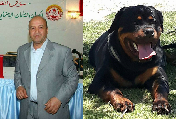 Le syndicaliste Aïd Mejri attaqué par un pitbull