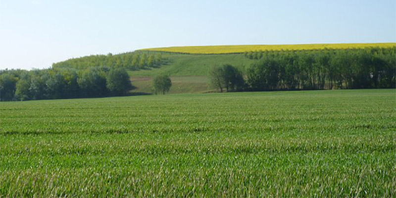 L’Etat récupère un terrain domanial agricole d'environ 150 ha à Menzel Bourguiba