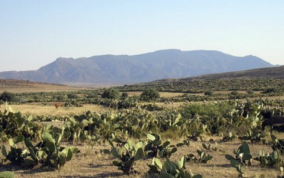 Kasserine: Des terroristes enlèvent 6 personnes dont un enfant