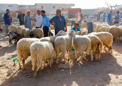 Sfax: Un Aïd sans eau !