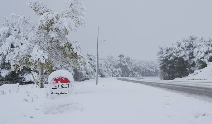 Mehdi Ben Gharbia : Des mesures anticipatives à la vague de froid ont été prises depuis 3 mois