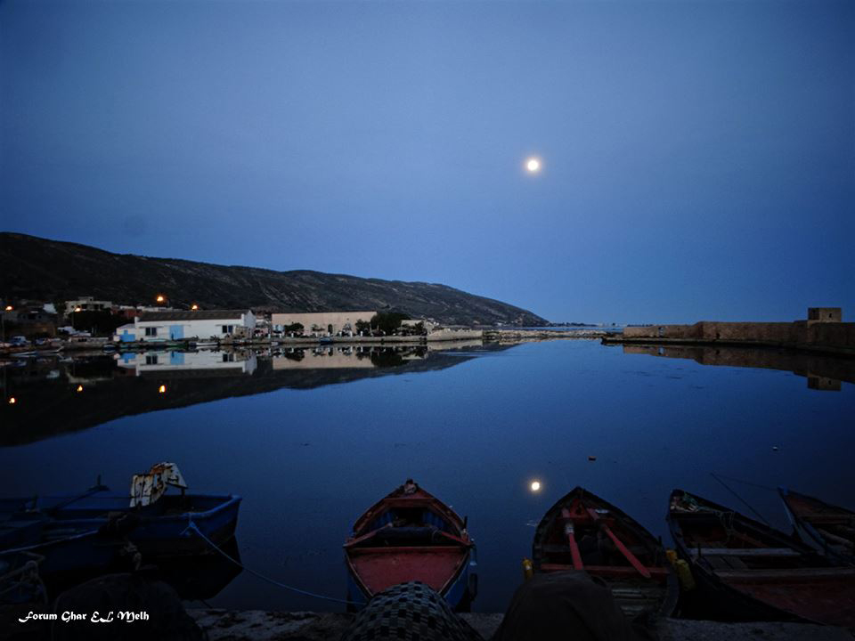 Ghar El Melh, première ville arabe à obtenir le label ville Ramsar 