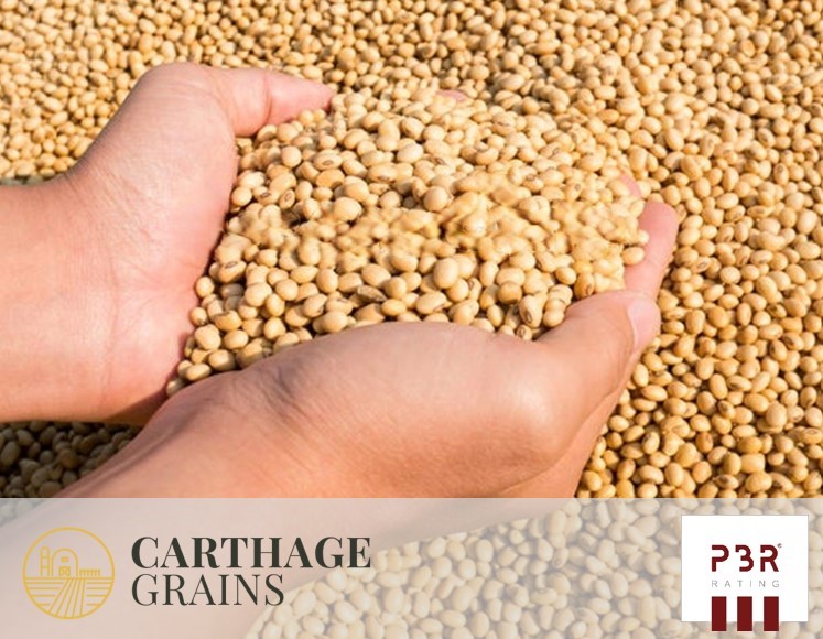 PBR Rating octroie à Carthage Grains la note de BBB avec perspective stable