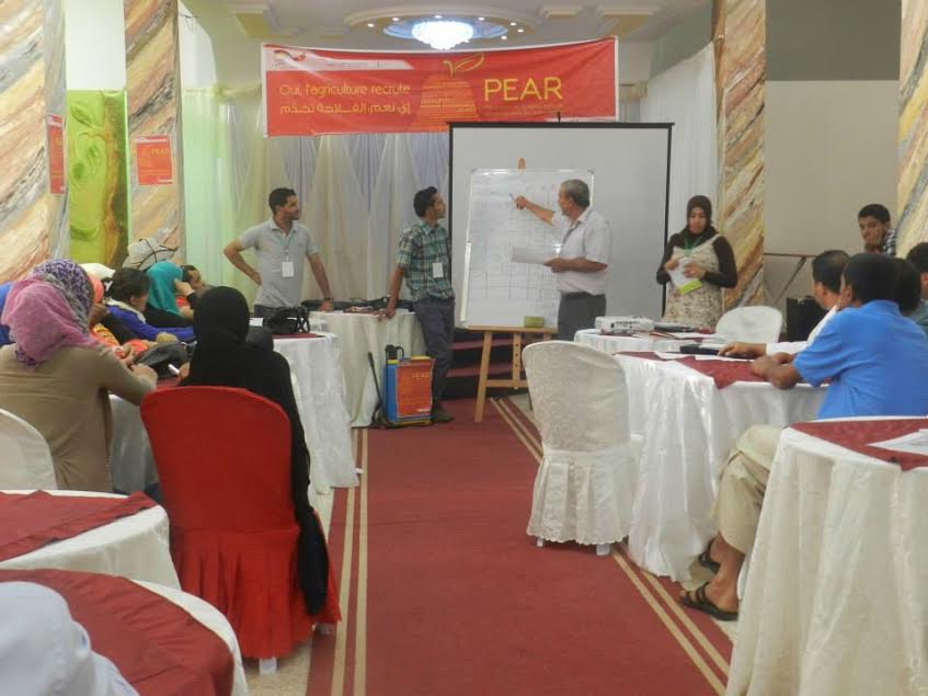 Tunisie: "PEAR" pour dynamiser le secteur agricole dans la région de Sidi Bouzid 