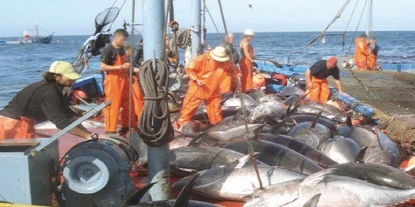 Pêche: La production en baisse de 3%, les exportations en hausse de 8%