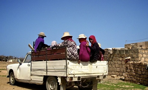 Décès d'une travailleuse agricole: Le FTDES dénonce une marginalisation et un laxisme de l'Etat