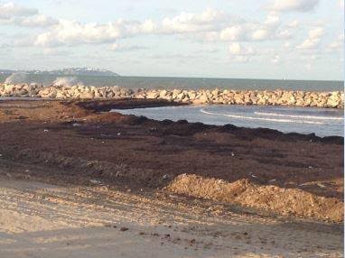 20 plages interdites à la baignade dont 8 en banlieue sud