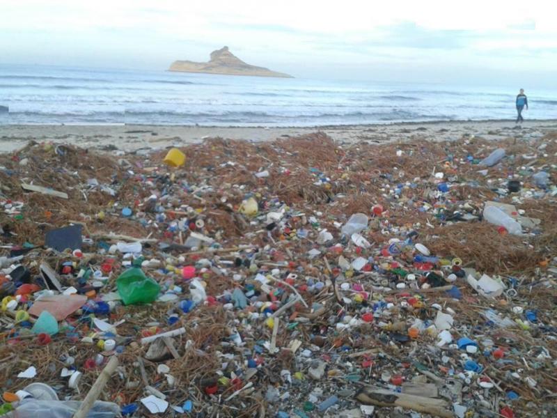 Les déchets plastiques dominent largement les côtes tunisiennes