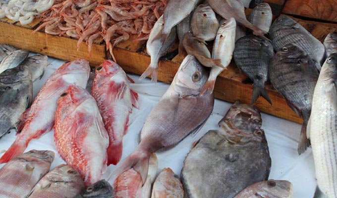 ONAGRI : Hausse des prix de plusieurs variétés de poisson