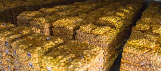 Commerce : Importation de pommes de terre pour la régulation du marché