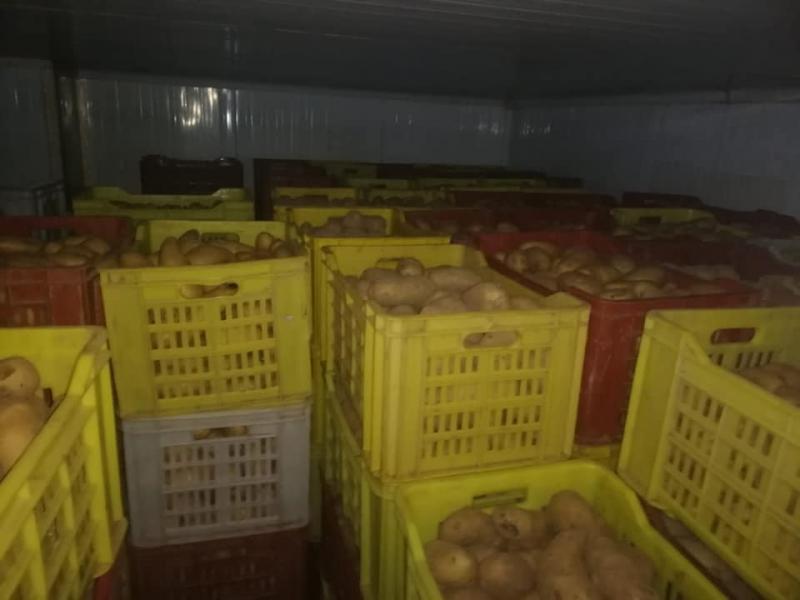Saisie de 6 tonnes de pommes de terre dans un entrepôt anarchique à Jendouba