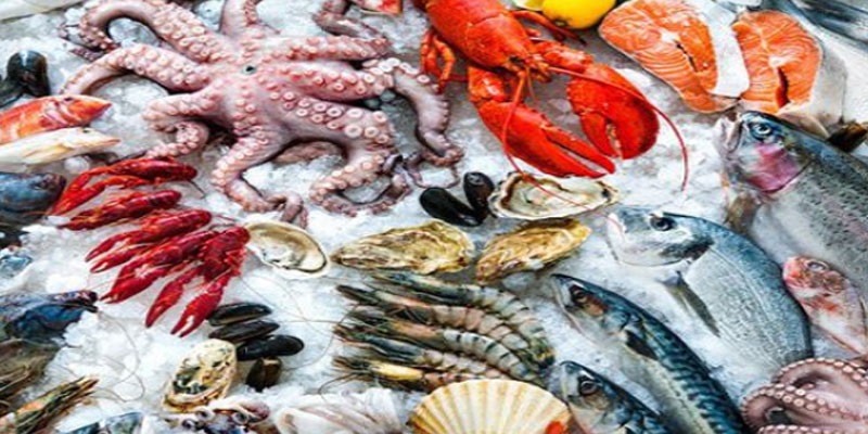 La balance commerciale des produits de la pêche excédentaire en 2023 mais moins qu’en 2022