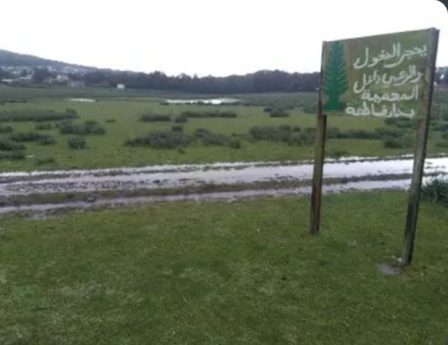 Tunisie: Projet international pour restaurer les tourbières de Dar Fatma