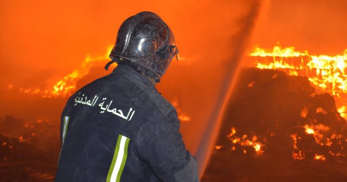 Siliana: Le mont Farouha ravagé par les flammes