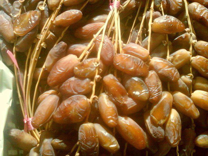 Production de dattes: La Tunisie devance le Maroc et la Libye