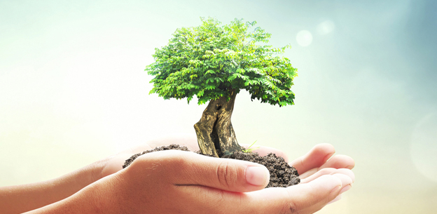 APPEL international des agriculteurs pour REVERDIR LE MONDE.