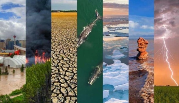 Prévention des risques climatiques: Rôle du financement et de la gouvernance en Tunisie