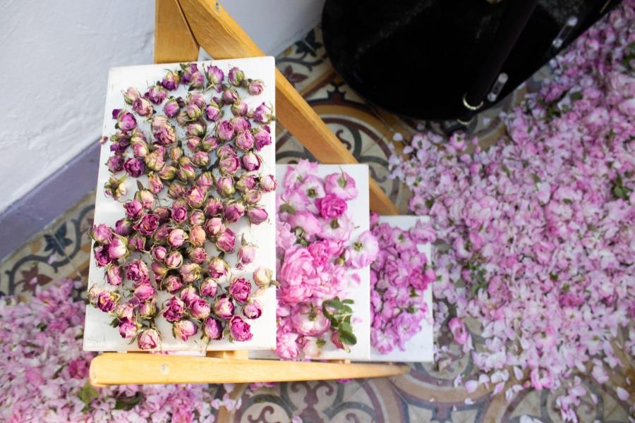 PAMPAT Tunisie : La rose de Kairouan, un produit du terroir emblématique…