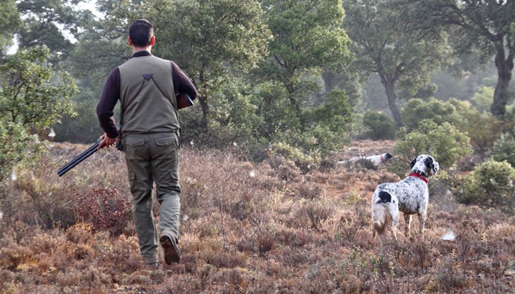 Saison de la chasse 2025/2025 : Ouverture le 5 octobre avec des périodes variables selon les espèces