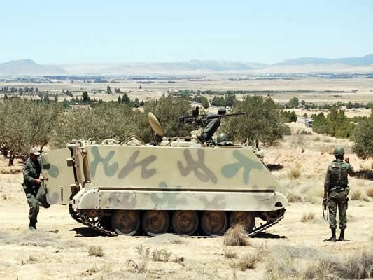 Kasserine: Des opérations militaires aux monts Salloum et Samama