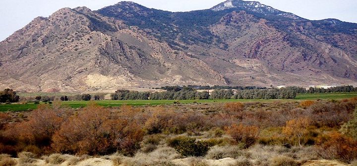 Kasserine : deux femmes relâchées après avoir été kidnappées par un groupe terroriste
