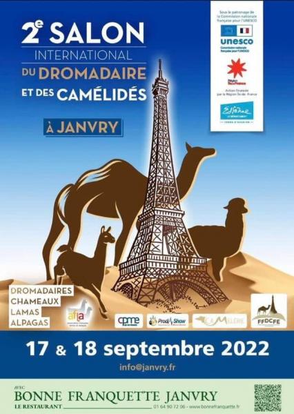 Deuxième édition du festival international du dromadaire: Quarante pays attendus