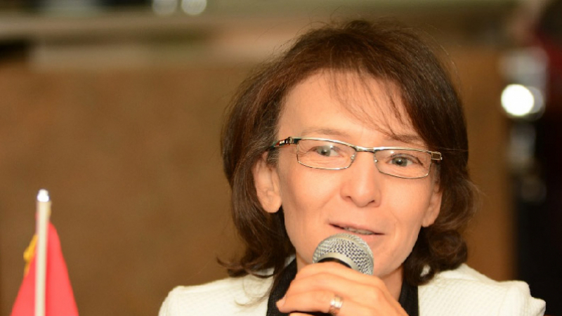 Salsabil Klibi, Présidente de l'Association tunisienne de droit constitutionnel