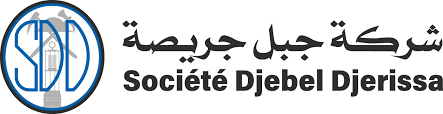 Industrie : nomination de Khaled Othman au poste de PDG de la société Djebel Djerissa