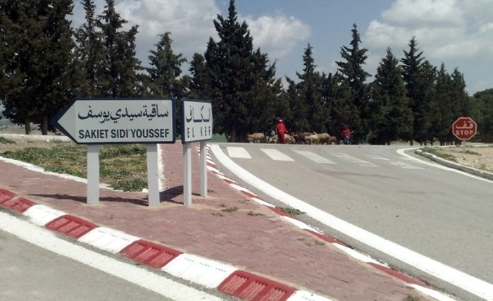 Coup d’envoi des festivités du 60e anniversaire des événements de Sakiet Sidi Youssef