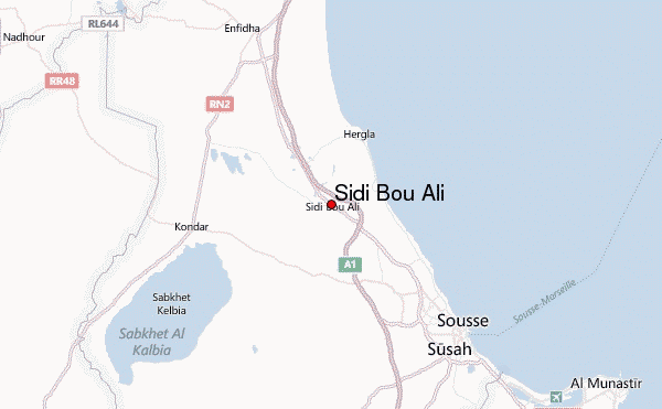 Sidi Bouali: Plusieurs chauffeurs bloquent la route