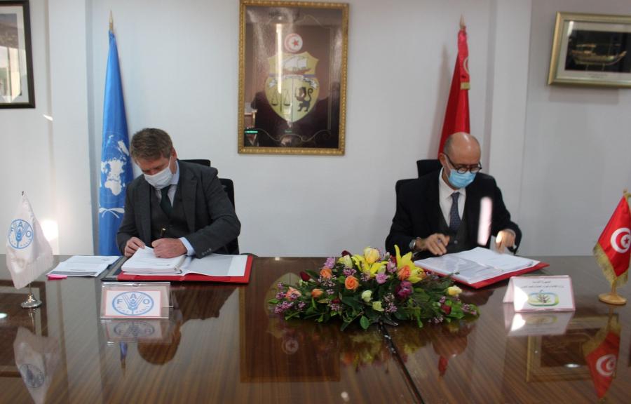 Tunisie-FAO: Nouveaux projets de coopération pour plus de résilience du secteur agricole
